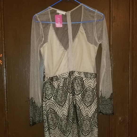A'GACI black lace cream mesh long sleeve dress new with tags large - Picture 5 of 6
